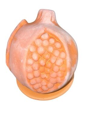 Santa Maria Novella Pomegranate in Scented Terracotta Decorative Home Fragrance
